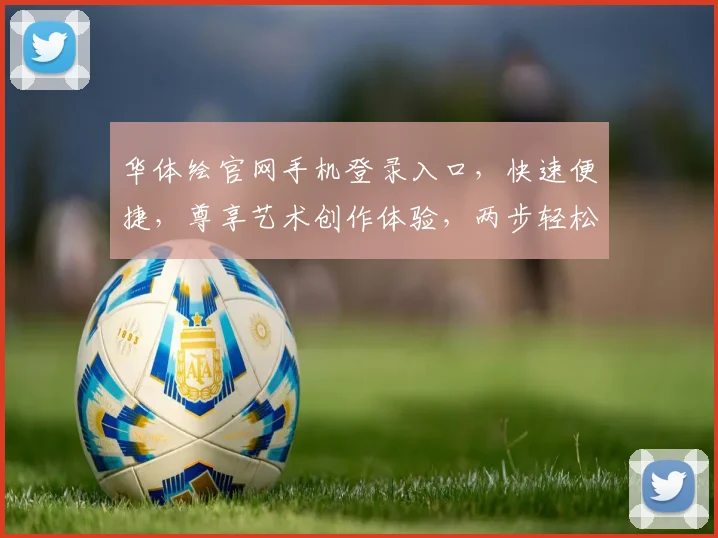 华体绘官网手机登录入口，快速便捷，尊享艺术创作体验，两步轻松登入，开启创作之旅