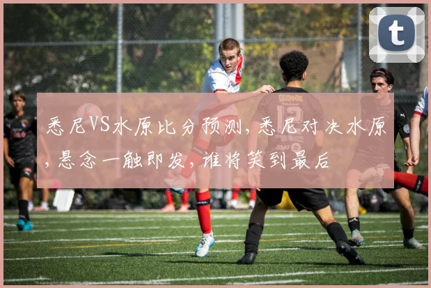 悉尼VS水原比分预测,悉尼对决水原,悬念一触即发,谁将笑到最后